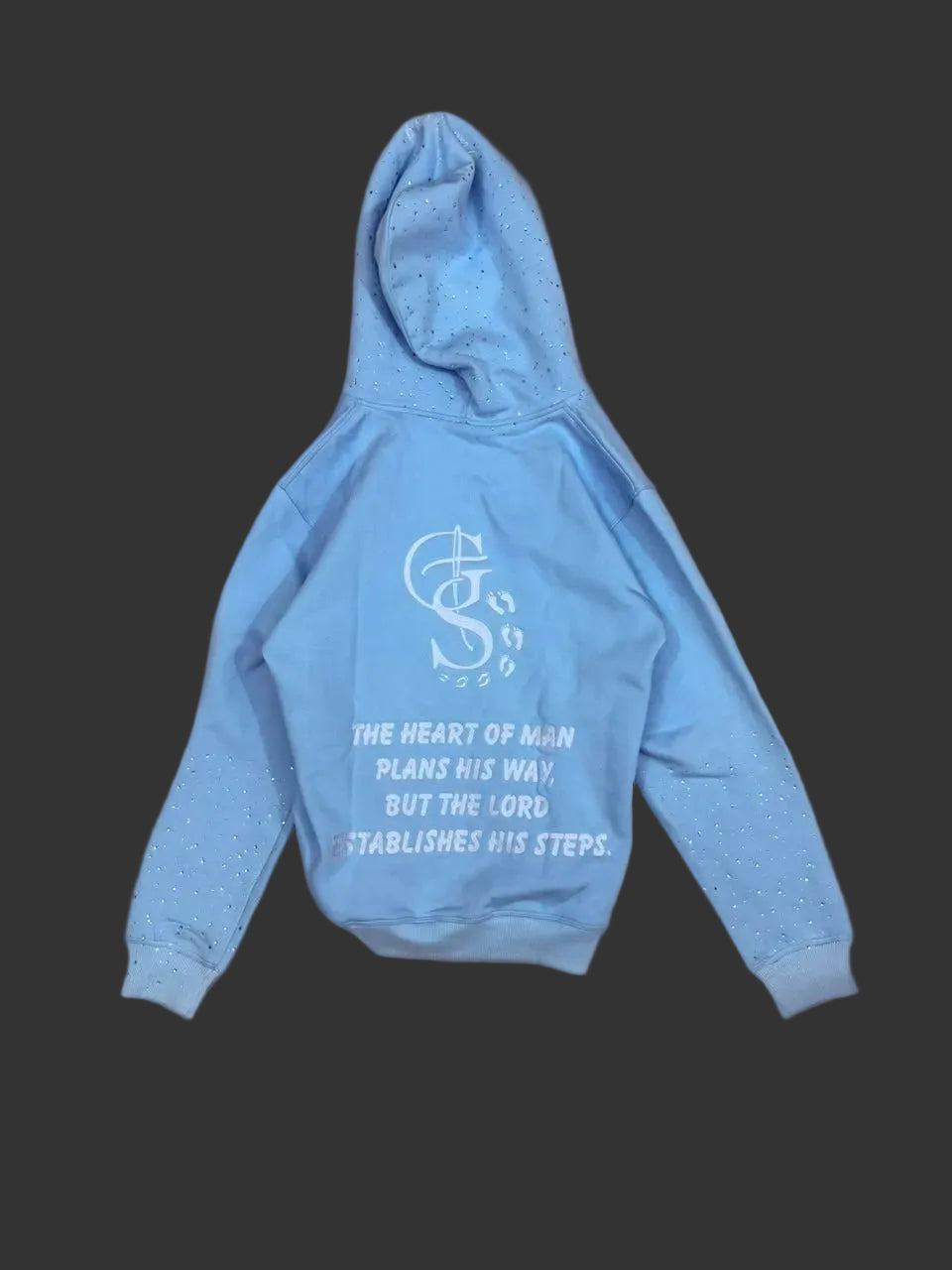Baby Blue Rhinestone Proverbs 16:9 Zip Up hoodie